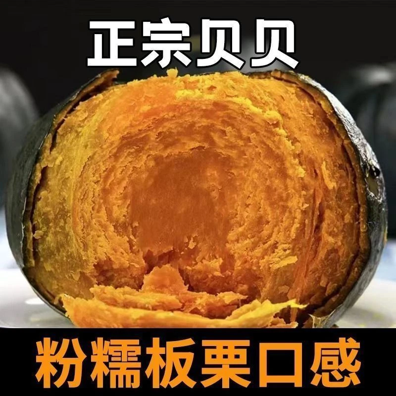 正宗贝贝南瓜板栗味粉甜糯婴儿辅食基地直发新鲜蔬菜包邮老南瓜