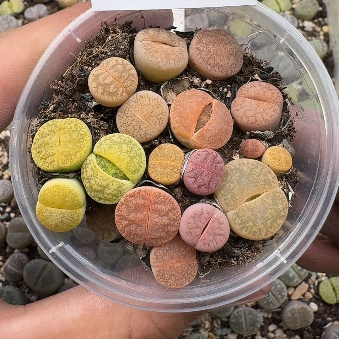 104 满18 包邮保温袋联系客服