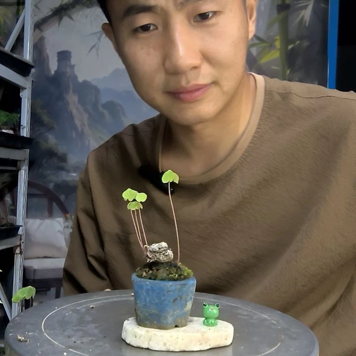 泡**满中青园艺一物一拍72