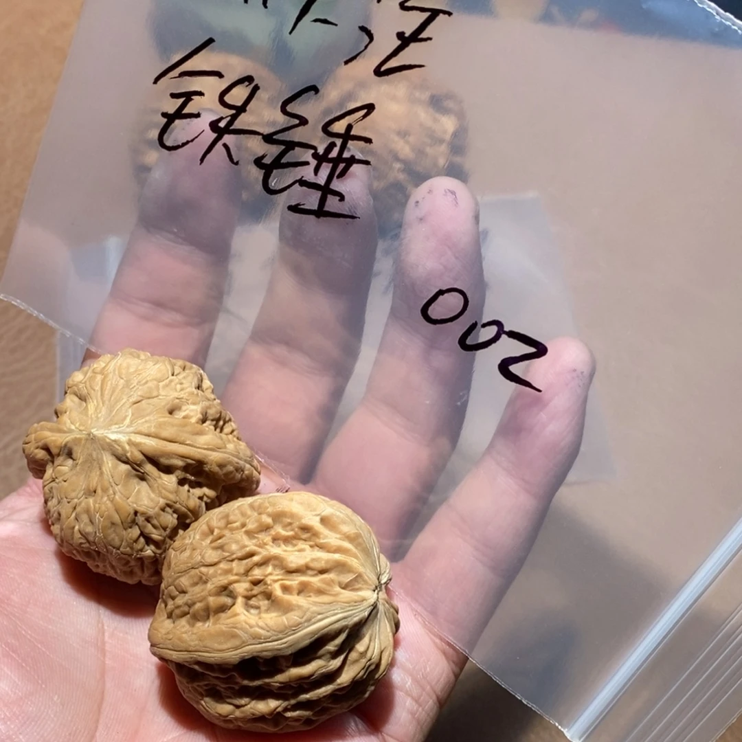 手串/手链核桃002