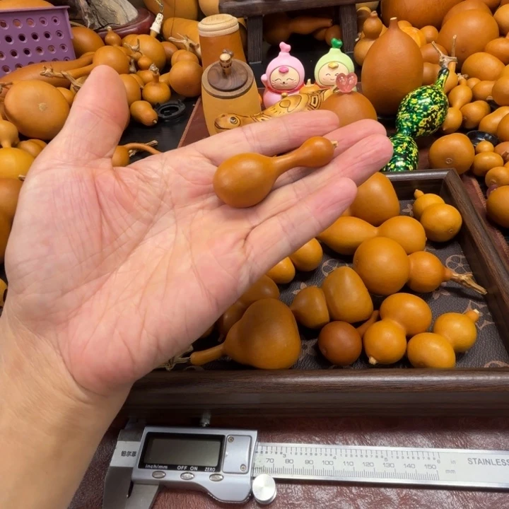ヾ***在自在的一条鱼，一条鱼葫芦