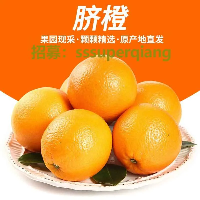 5【包邮次日达】新鲜脐橙4.6-5斤，中大果70-85mm多汁农家现摘