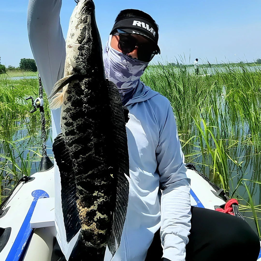 生态黑鱼 拍前称重 按重计价