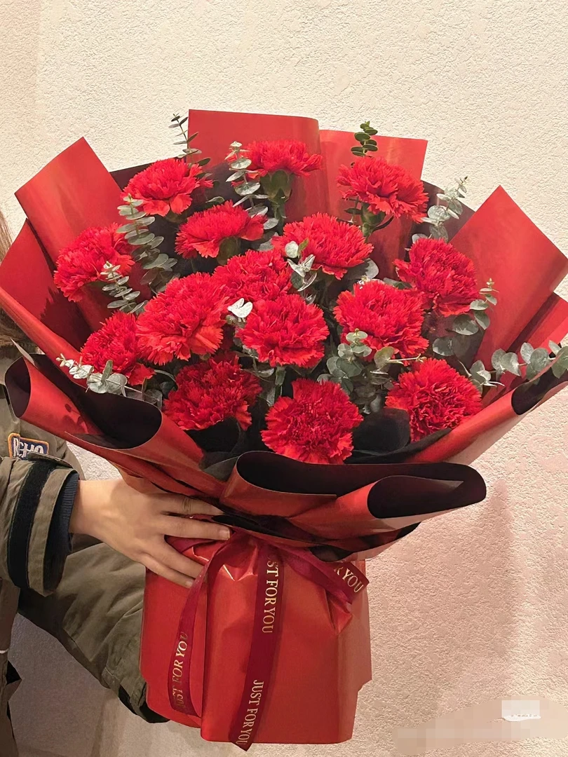 【经典】15朵红色康乃馨花束送长辈送老师送朋友