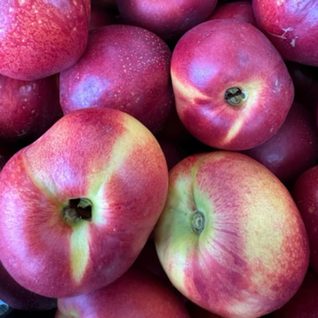 有机露天黄油桃干旱炸核果当季新鲜水果桃子北京市