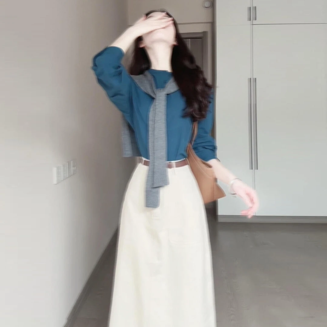 2025新款早秋套装蓝色长袖衬衫两件套女夏高级感穿搭半身连衣裙子