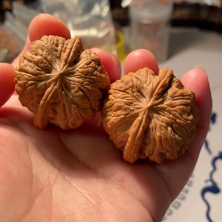 文玩核桃吊坠38.5麒麟墩