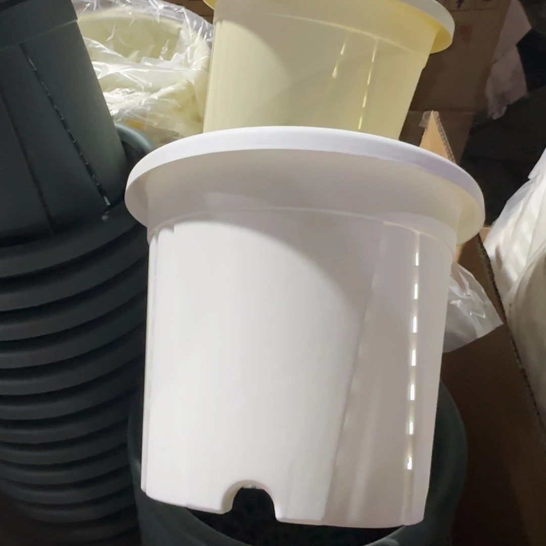 塑料青山控根2号纯白10个➕6个拖