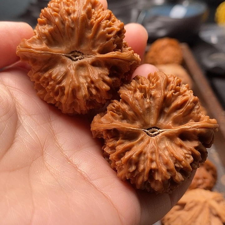 风***景把件桃核百花山43尺