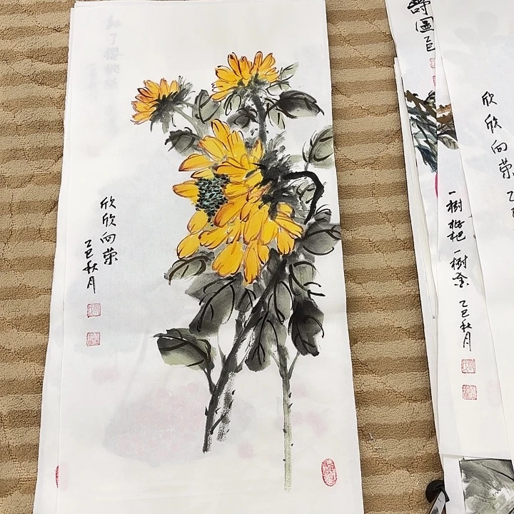 国画花鸟的翅膀和羽毛的