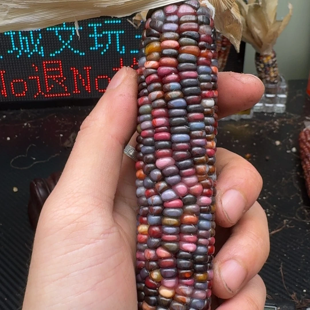 柏香籽/百香籽吊坠米*