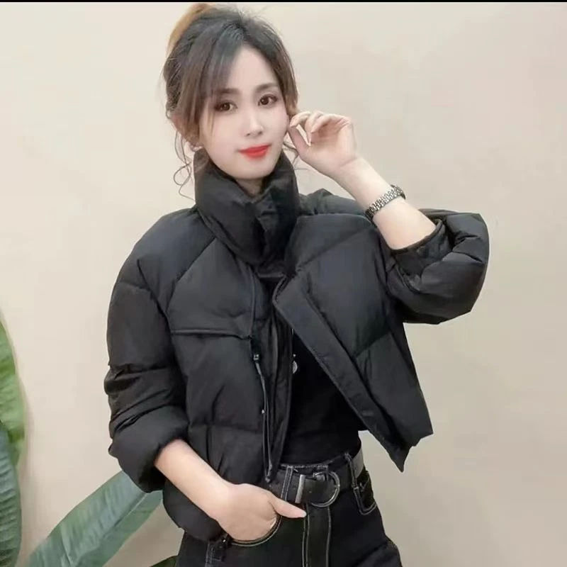 欧洲站2025冬新款网红立领羽绒服女小个子短款减龄百搭面包服外套