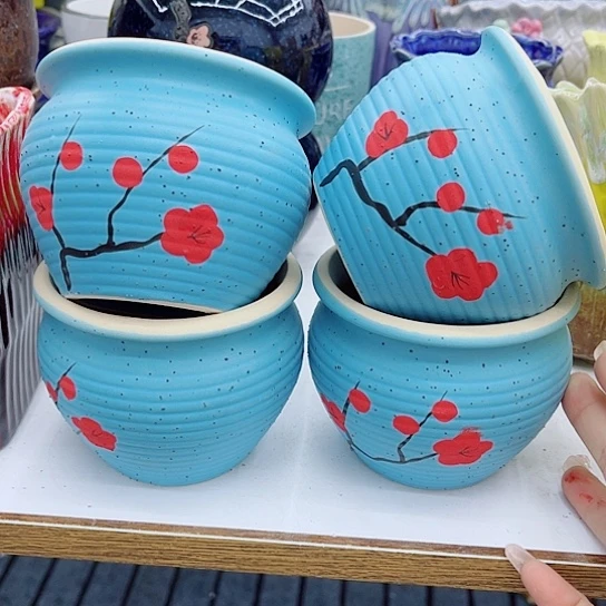 多肉绿植陶瓷花盆9.9包邮，有空