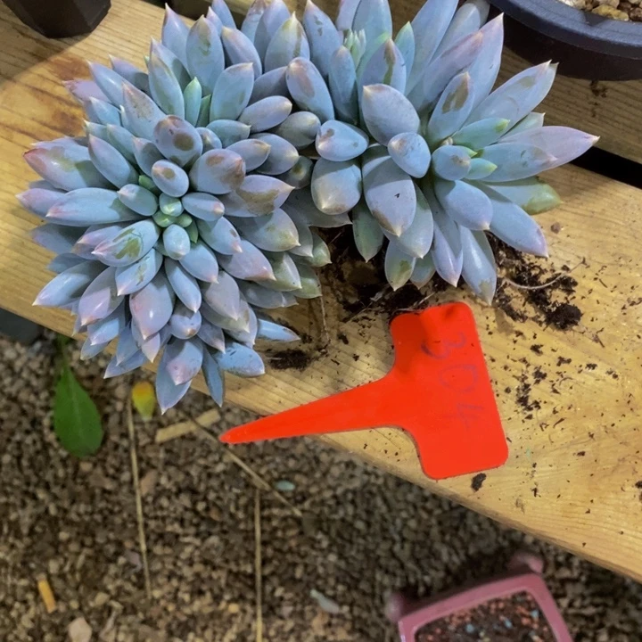 ****格是吗这不还没有下班