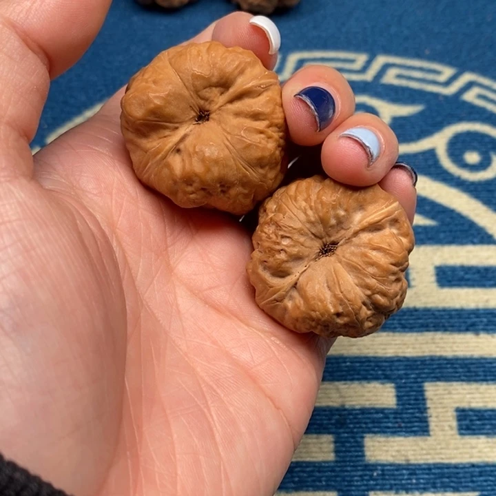 文玩核桃吊坠古蝉王