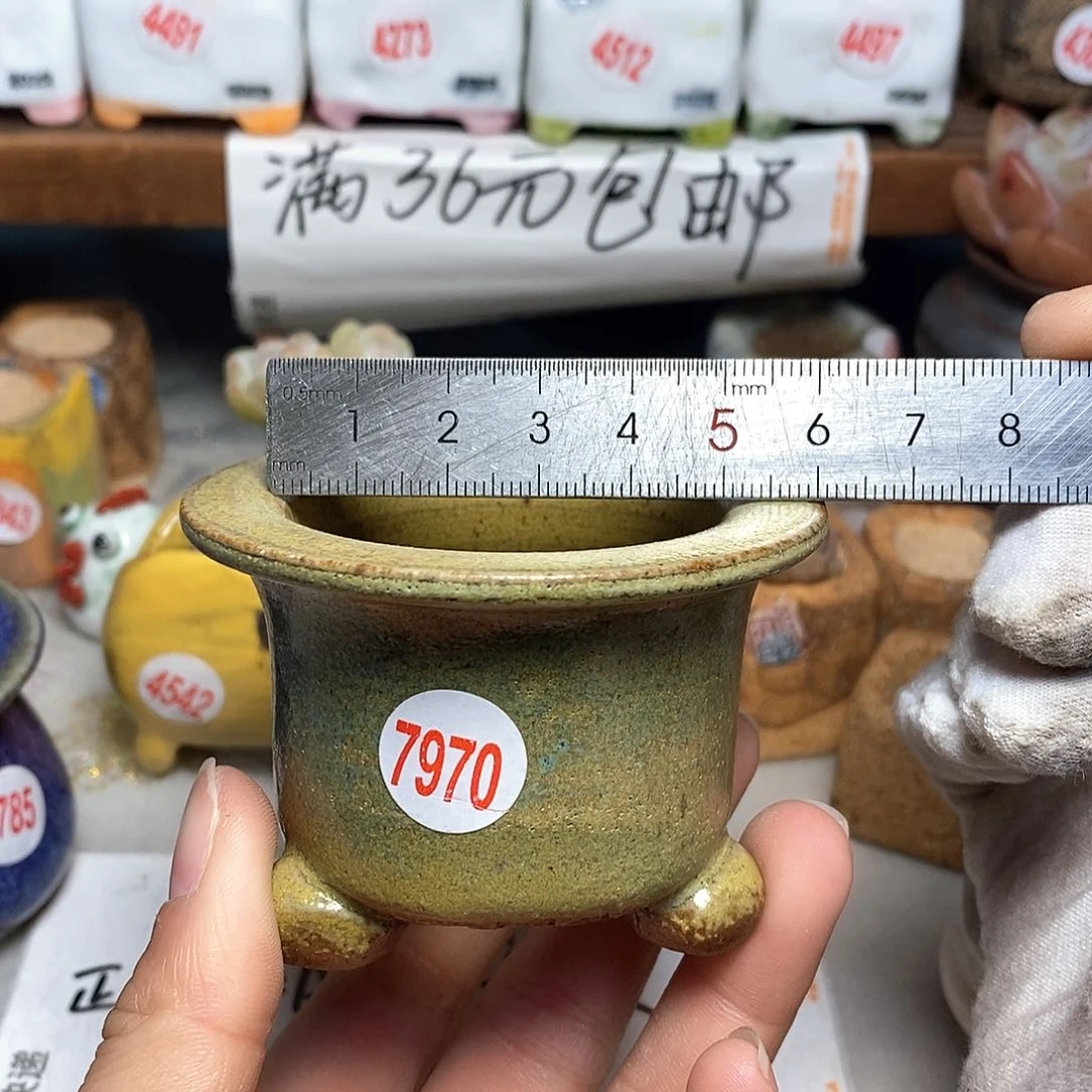 红陶拍5送一个小