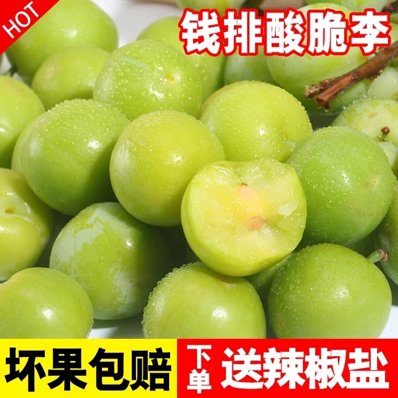 【清园价】钱排三月李子新鲜当季水果酸脆珍珠李青李子三华李整箱2斤3斤广东省