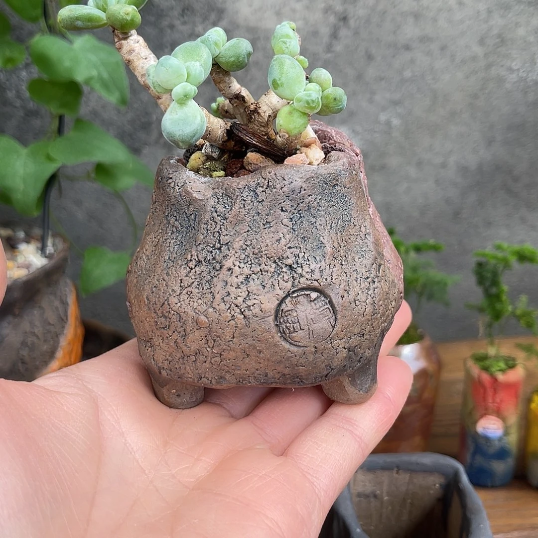 特价内口4外高5.5厘米