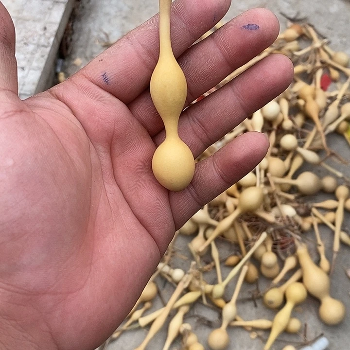 难***涂手把精品文玩葫芦