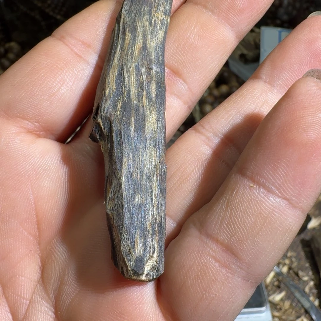 沉香沉香枕海南莺歌绿高油小块料