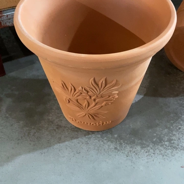香草20×19-1