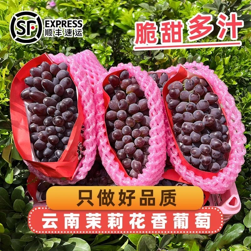 【顺丰包邮】正宗云南茉莉香葡萄1-3斤装新鲜采摘原产地直发