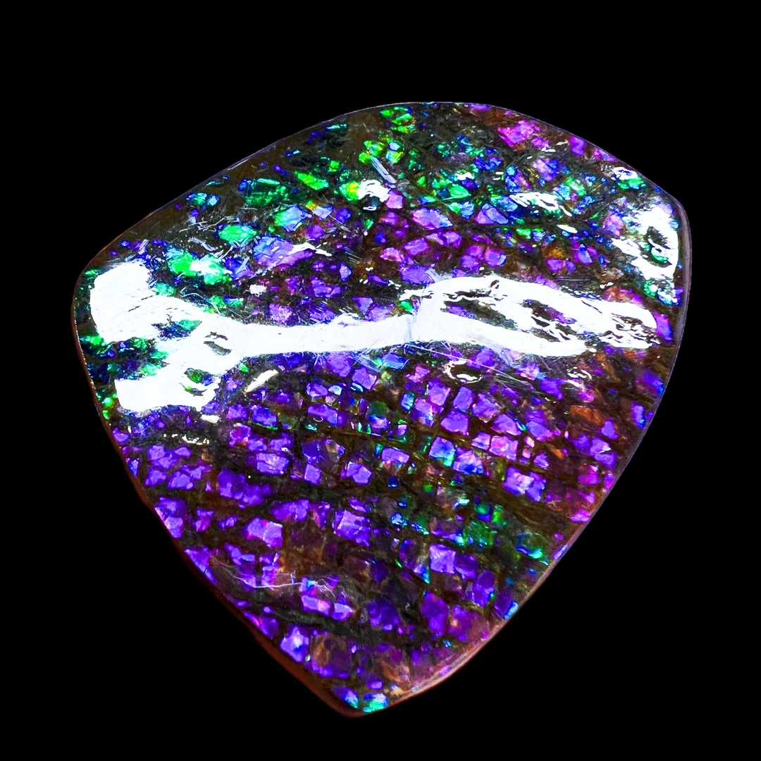 【斑彩】57mm 加拿大原石 N-12 YS-D 贝壳摆件 D90