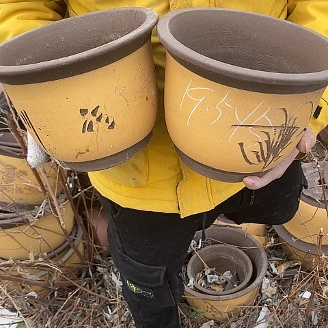 紫砂中国宜兴紫砂花盆，