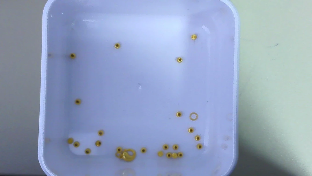 黄金足金小金 豆