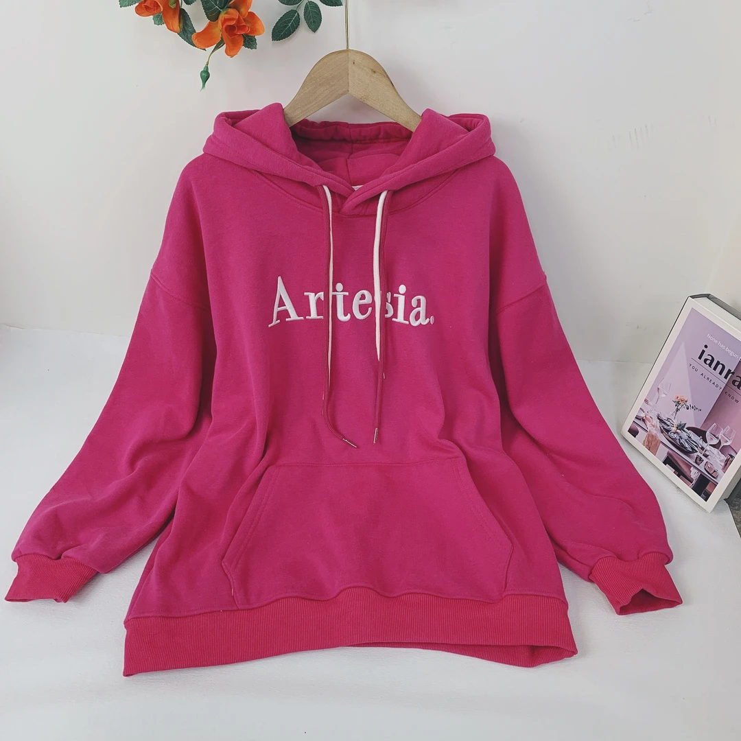 8231  2024秋季新款慵懒风刺绣字母薄绒连帽学院风百搭卫衣女BBR