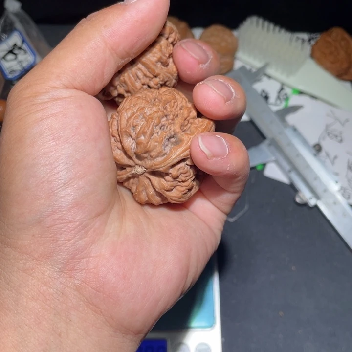文玩核桃把件❂****³核桃