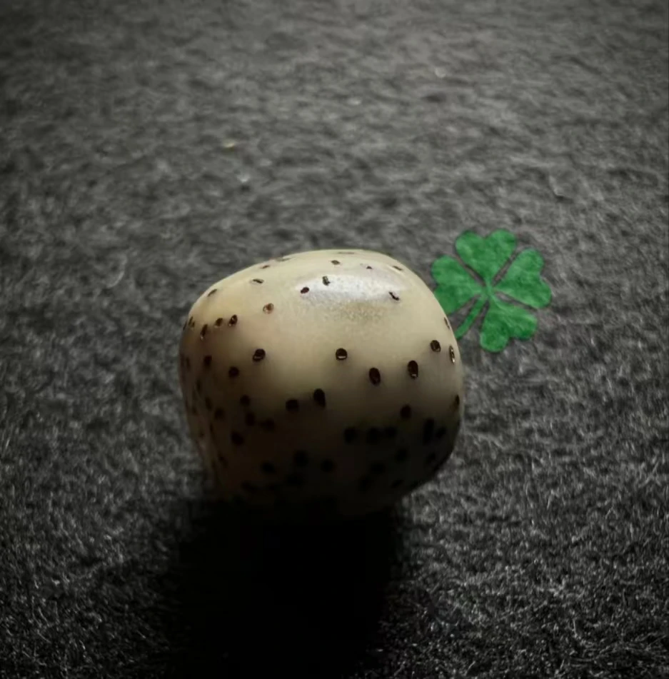 X08巷里星月菩提手串