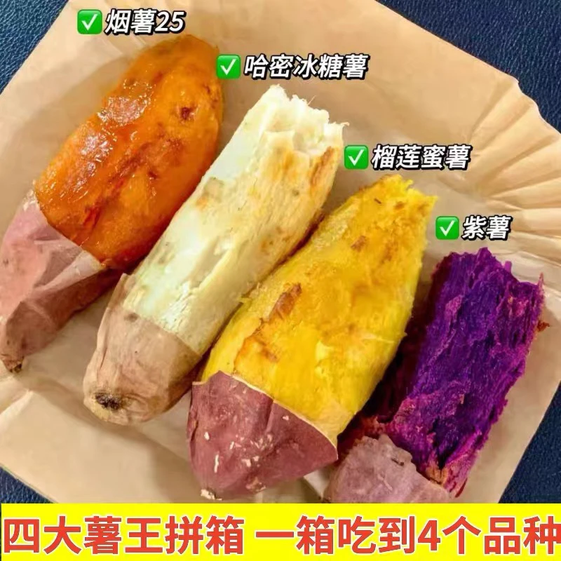 正宗四色蜜薯组合装薯王烟薯25号榴莲蜜薯现摘现发哈蜜紫薯紫罗兰