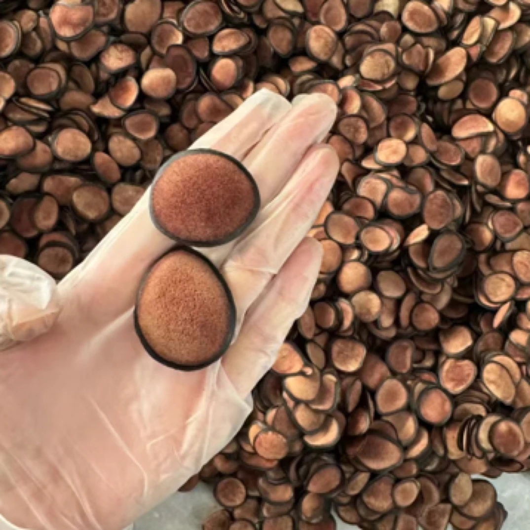 红粉片干鹿茸片 泡酒 煲汤 煮粥30克