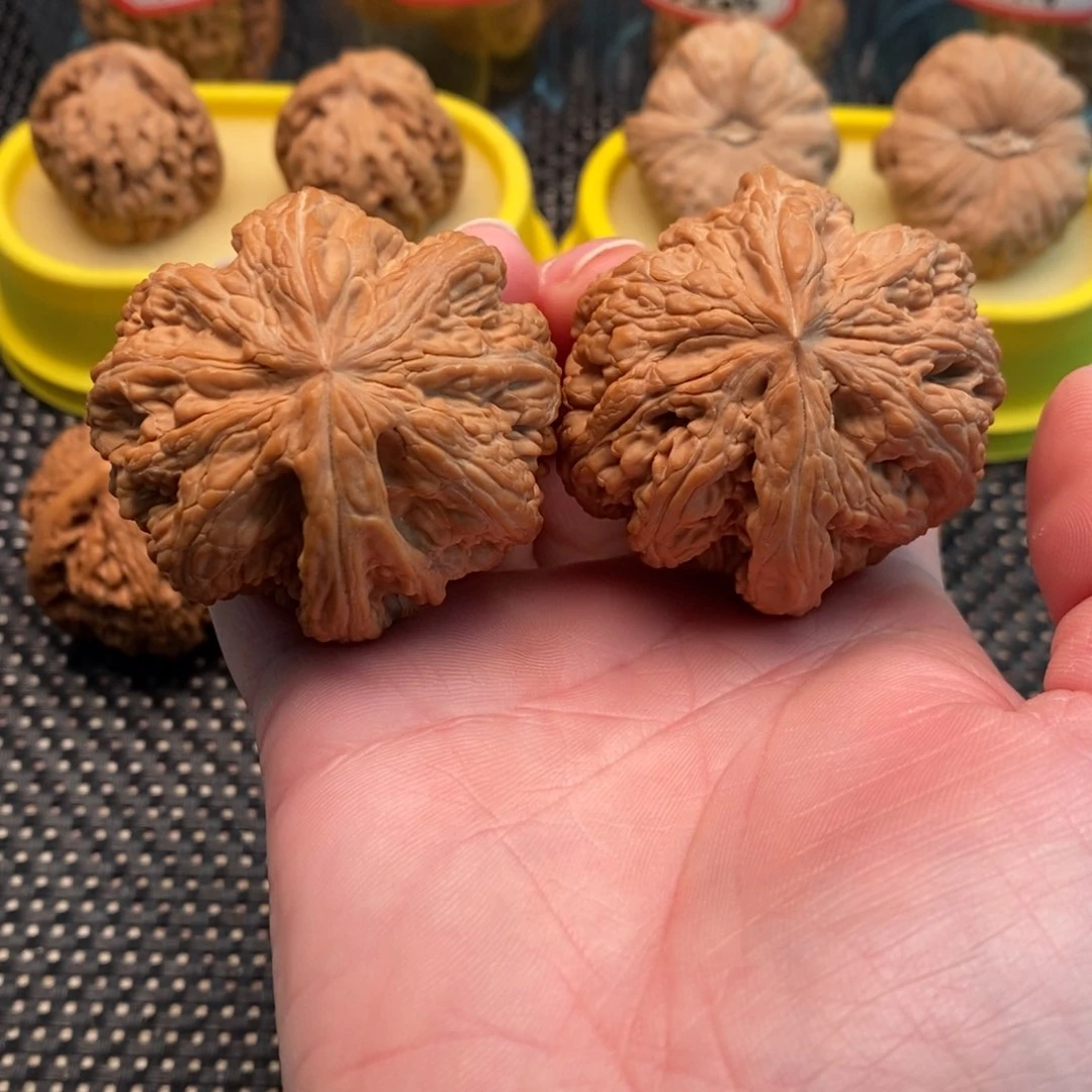 橄榄核手串/手链大*羊大粗筋