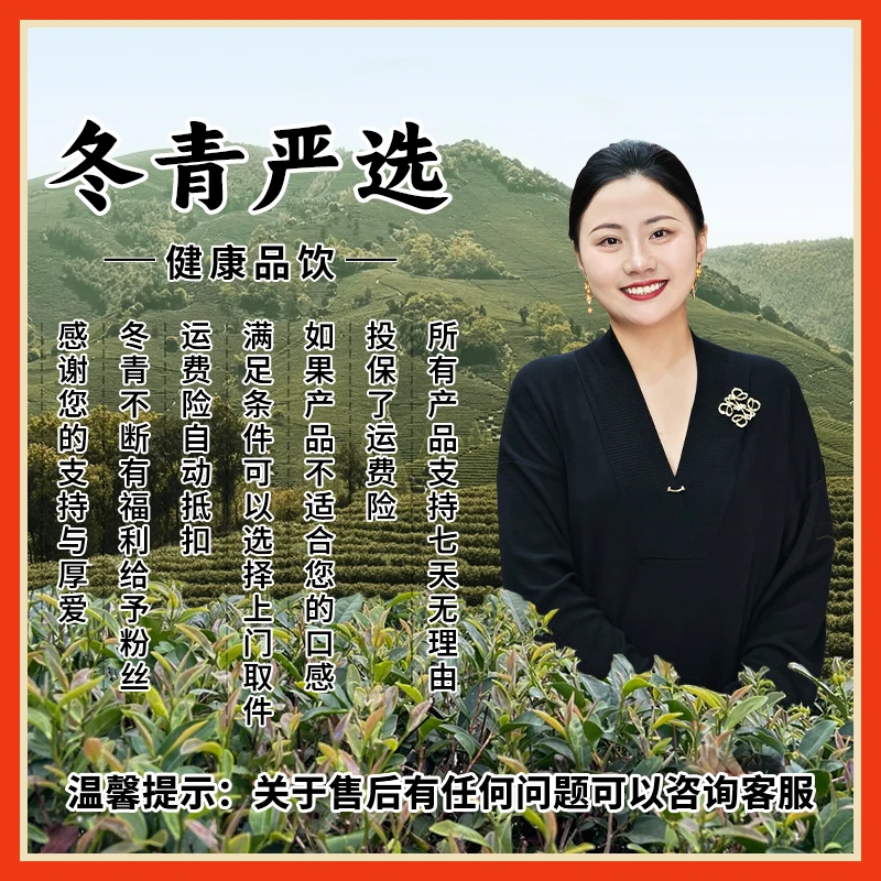 正北芪 阿拉善足年份老芪 百搭益身茶 冬青收茶