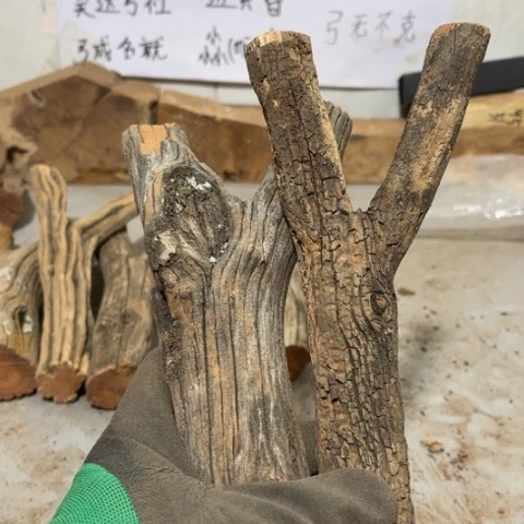 大果紫檀（缅甸花梨）淡**尘
