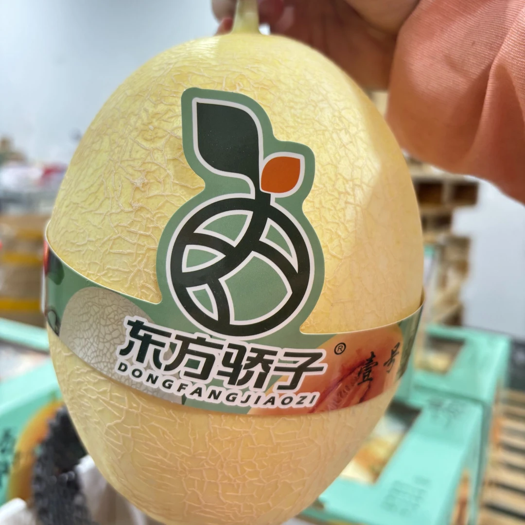 【老何严选】东方娇子 哈蜜瓜2/3粒装6/10.5斤以上