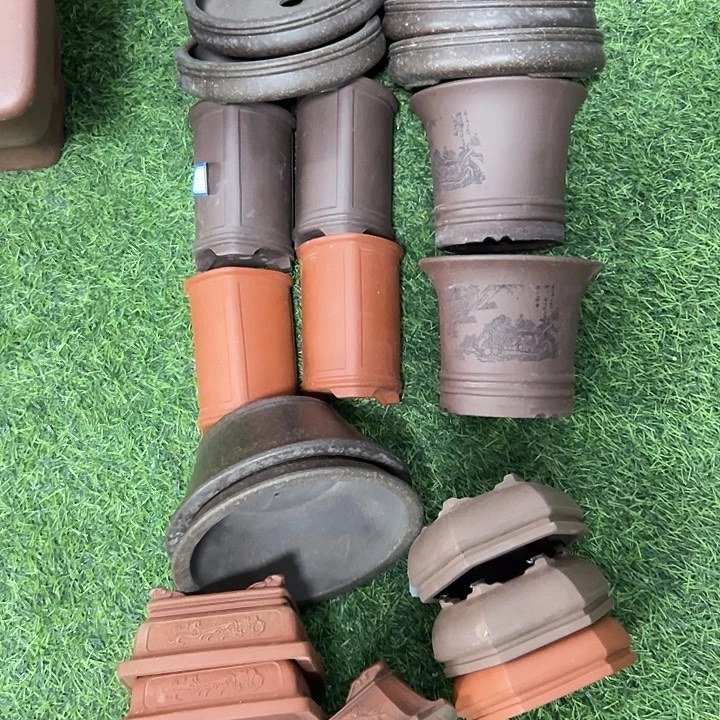 璀***河花盆紫砂20只，福利盆