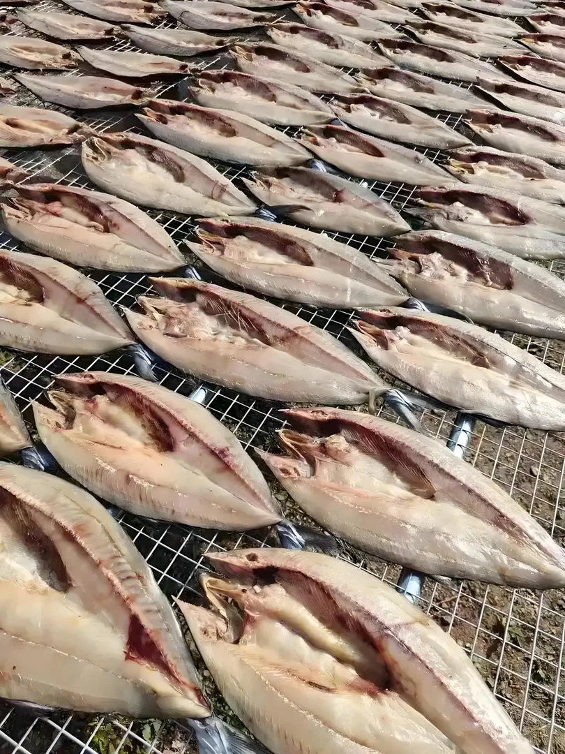 青岛当地一卤鲜甜晒鲅鱼干选用新鲜鲅鱼现晒肉质紧实