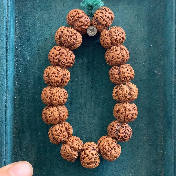 手串金刚菩提梅花