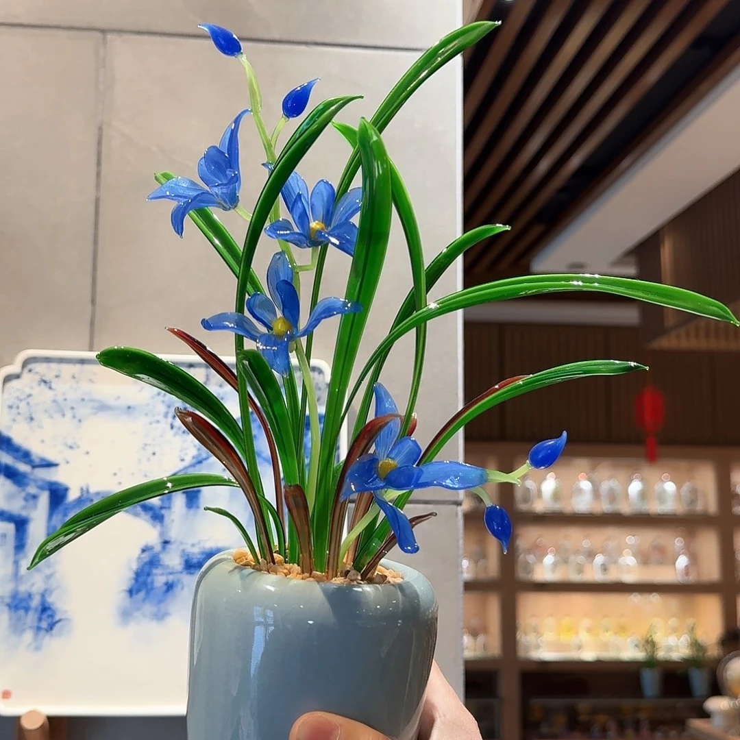 淄博琉璃花11111111111111
