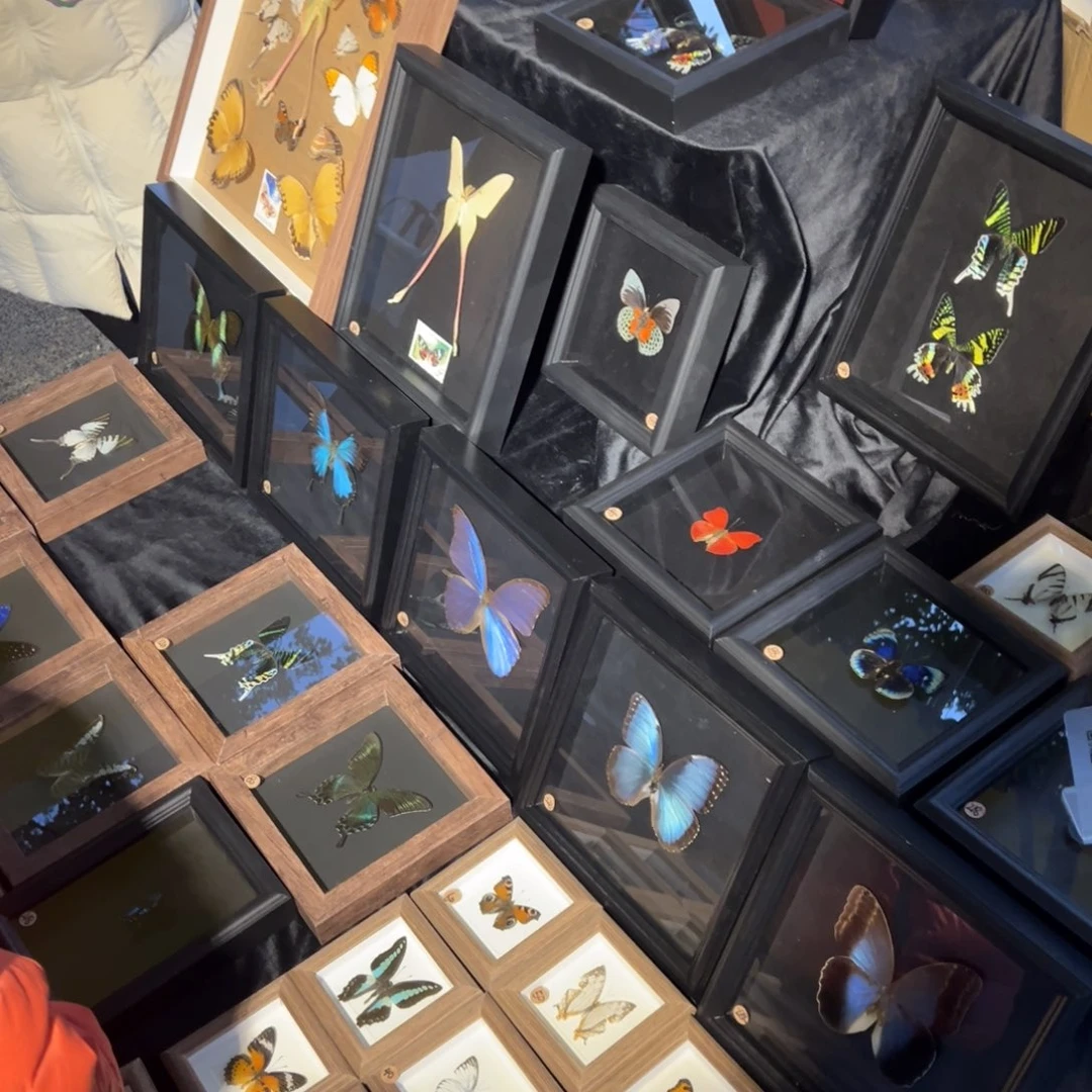 陶溪川开播啦开播啦