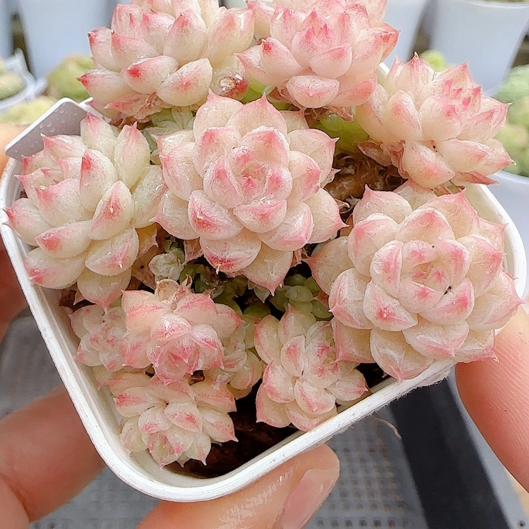 1030-65（ppt-36）优选