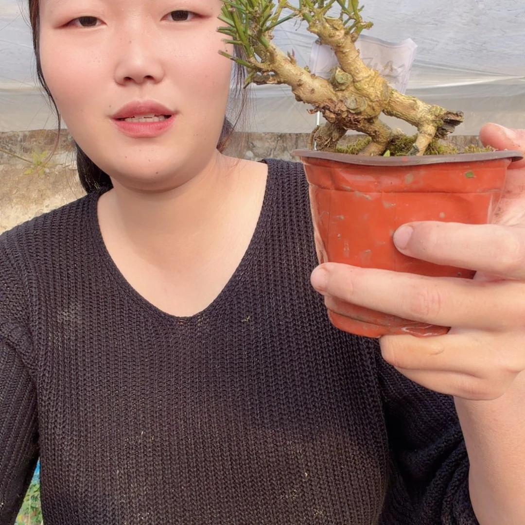 阿***财无花朵刚刚和你比官方公告