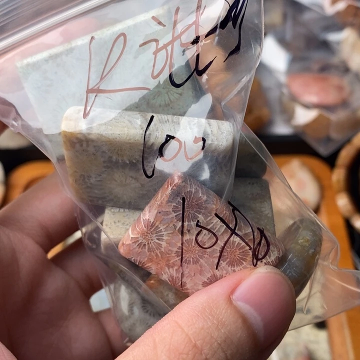 k***y颈饰未镶嵌硅化珊瑚（珊瑚玉）