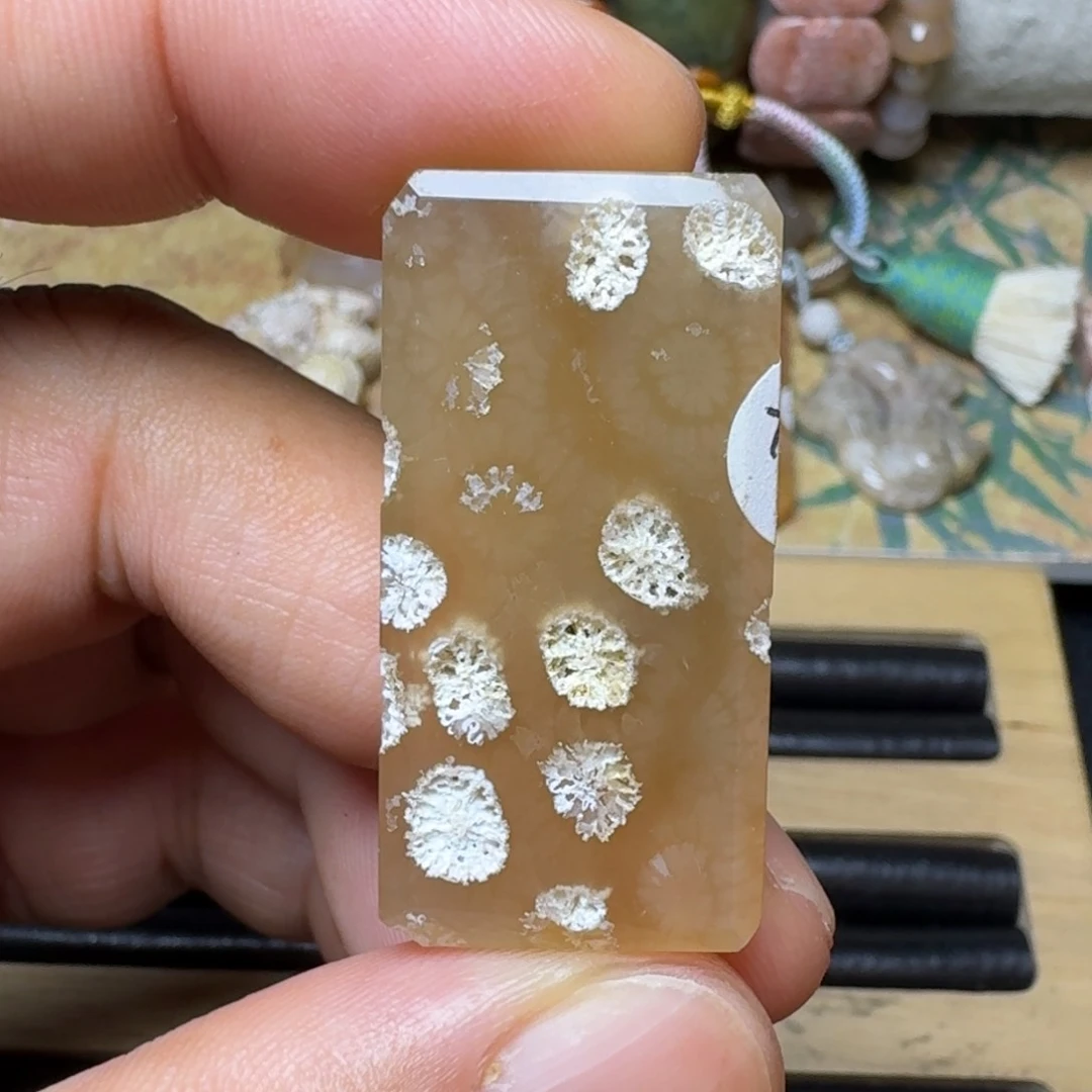 硅化玉纯天然色有机玉石保真色未镶嵌特价