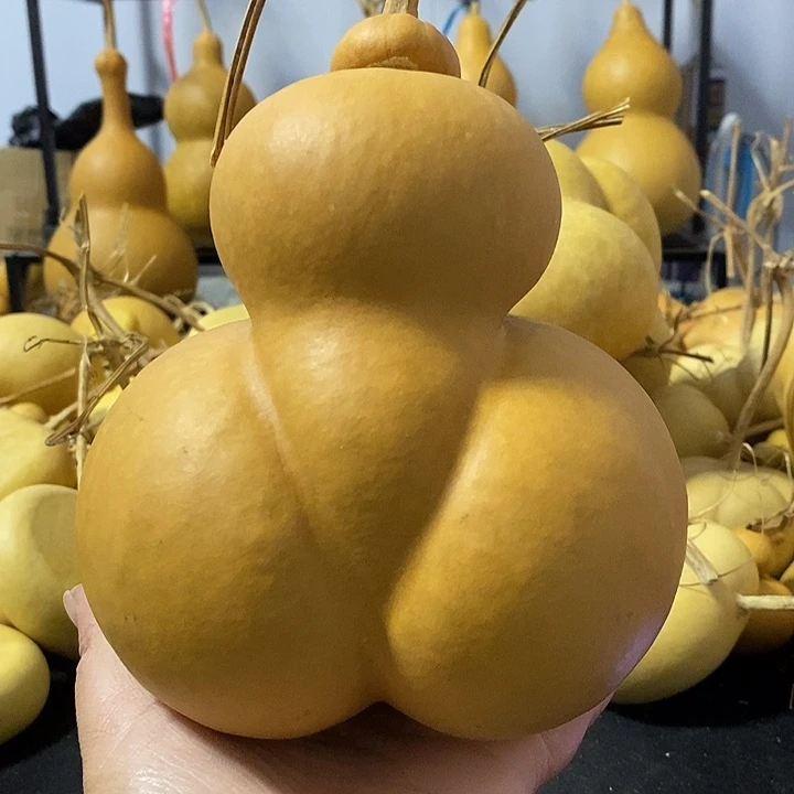 葫芦的颜色是蓝色的