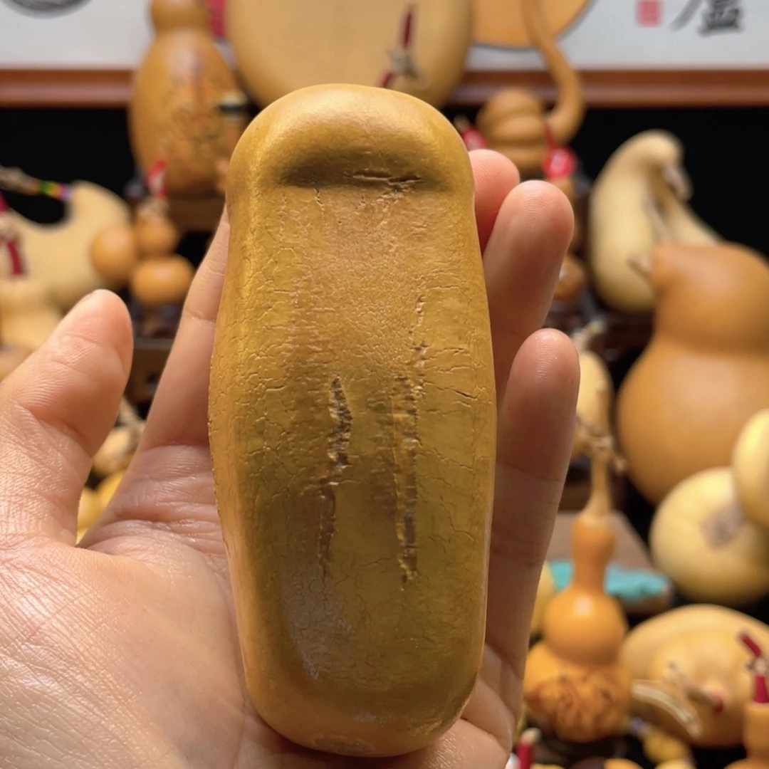 初*大自然的秘密第十一节的秘密