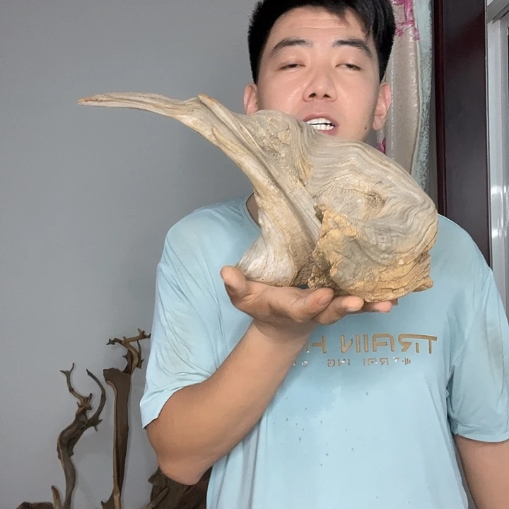 风***静柏木（崖柏）北太行崖柏毛料摆件